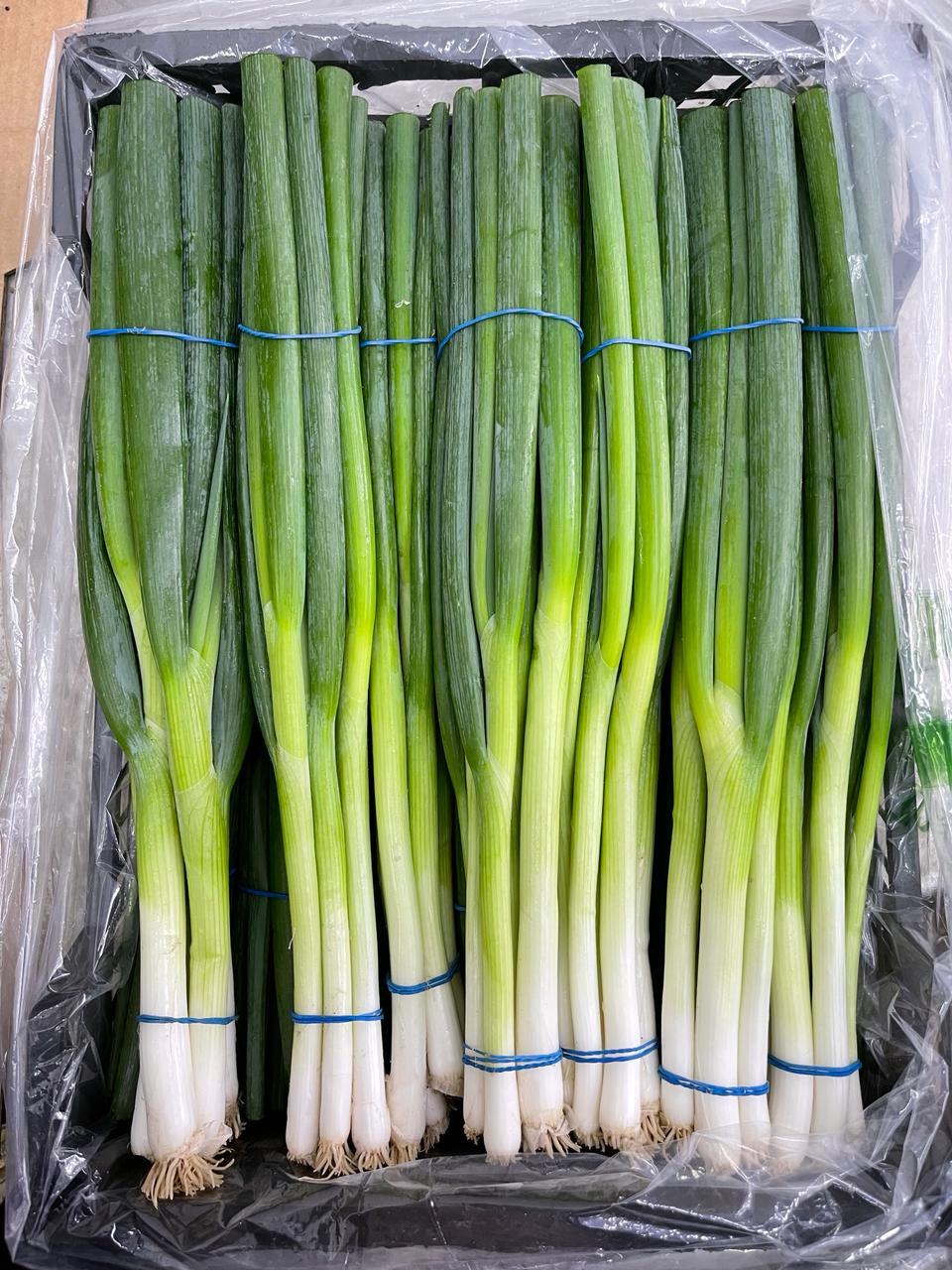 Spring Onions